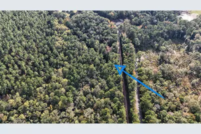 1.25 Ac Pleasant Ridge Road, Defuniak Springs, FL 32435 - Photo 7