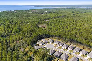 33 Cozy Cv, Freeport, FL 32439 - Photo 57