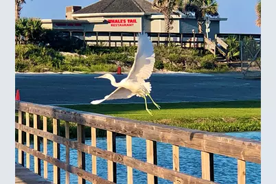 86 Breakwater Bay #UNIT 10G, Miramar Beach, FL 32550 - Photo 41