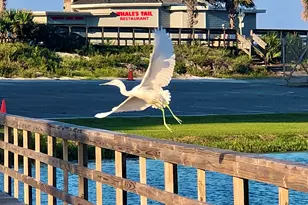 86 Breakwater Bay, Miramar Beach, FL 32550 - Photo 41