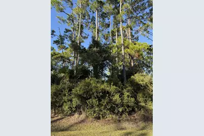 123 Cottage Lane, Port Saint Joe, FL 32456 - Photo 1