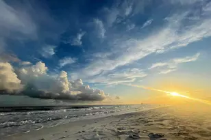 4735 Papaya Park, Destin, FL 32541 - Photo 73