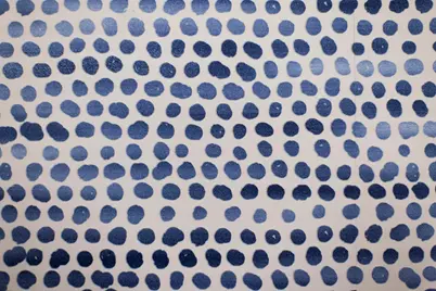 34 Pisces Drive, Santa Rosa Beach, FL 32459 - Photo 47