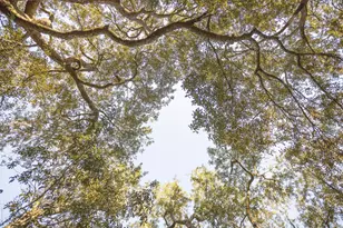 34 Pisces Dr, Santa Rosa Beach, FL 32459 - Photo 67