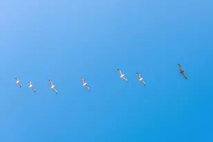 Lot 10 W Lupin Beach Dr W, Inlet Beach, FL 32461 - Photo 7