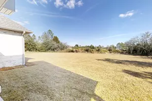 1171 Brushed Dune Cir, Freeport, FL 32439 - Photo 87