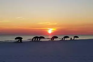 221 Scenic Gulf Dr, Miramar Beach, FL 32550 - Photo 65