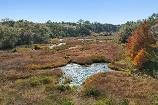 302 Curacao Way, Niceville, FL 32578 - Photo 51
