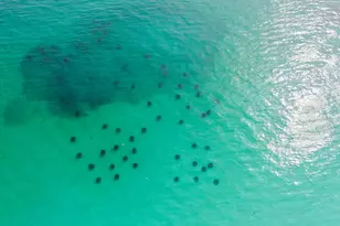 842 E Grand Harbour E, Miramar Beach, FL 32550 - Photo 11