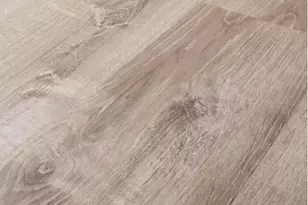 455 Scooter Cv, Crestview, FL 32539 - Photo 3