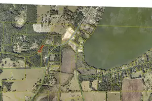 228 Double Bridge Rd, Laurel Hill, FL 32567 - Photo 21