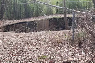 228 Double Bridge Rd, Laurel Hill, FL 32567 - Photo 15