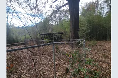 228 Double Bridge Road, Laurel Hill, FL 32567 - Photo 11