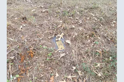 228 Double Bridge Road, Laurel Hill, FL 32567 - Photo 17