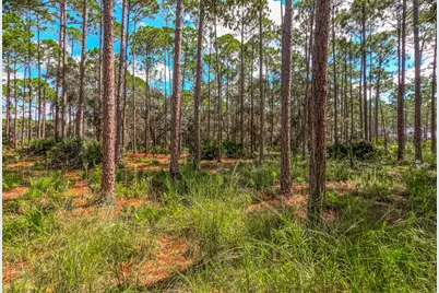 6326 River House Drive, Panama City Beach, FL 32413 - Photo 7