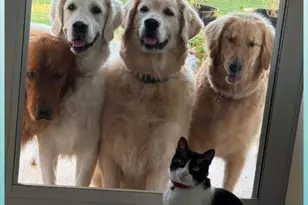 16 Mariners Ln, Mary Esther, FL 32569 - Photo 33