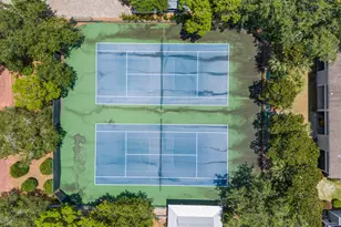 62 Dune Rosemary Ct, Santa Rosa Beach, FL 32459 - Photo 55