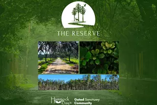 Lot 4 Reserve At Hammock Bay, Freeport, FL 32439 - Photo 1