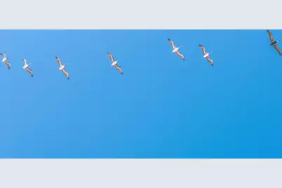 Lot 9 W Lupin Beach Drive W, Inlet Beach, FL 32461 - Photo 7