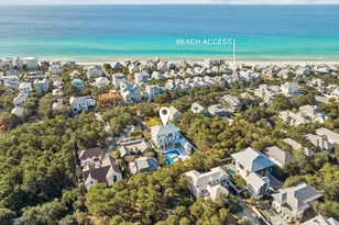 306 Walton Rose Ln, Inlet Beach, FL 32461 - Photo 93