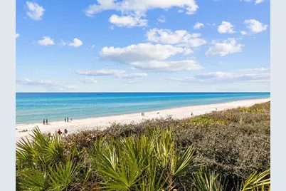 205 Seacrest Beach Blvd West, Seacrest, FL 32461 - Photo 39