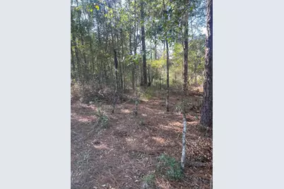 X Blue Ridge Blvd, Defuniak Springs, FL 32433 - Photo 1