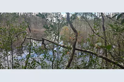 X Blue Ridge Blvd, Defuniak Springs, FL 32433 - Photo 7