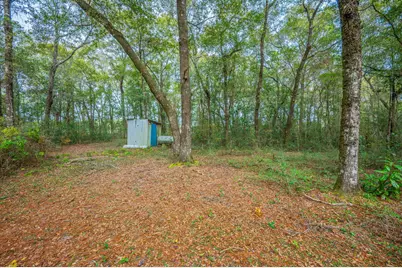 276 Squirrel Road, Defuniak Springs, FL 32433 - Photo 33