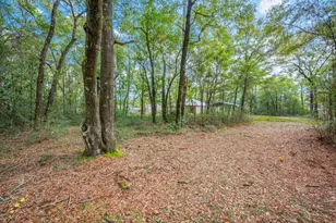 276 Squirrel Rd, Defuniak Springs, FL 32433 - Photo 35