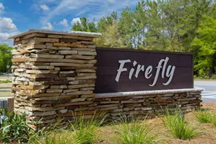 454 Lightning Bug Ln, Freeport, FL 32439 - Photo 3