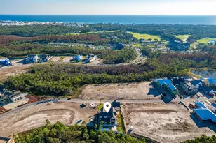 158 Sandcord Dr, Inlet Beach, FL 32461 - Photo 53