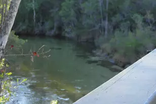 127 Big Oaks Ln, Niceville, FL 32578 - Photo 3