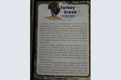 127 Big Oaks Lane, Niceville, FL 32578 - Photo 55