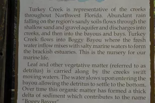 127 Big Oaks Ln, Niceville, FL 32578 - Photo 55