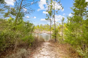 276 Gulfview Cir, Santa Rosa Beach, FL 32459 - Photo 41