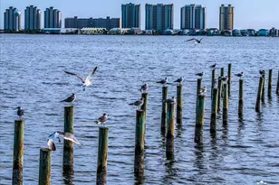 1810 Sea Pines Ln, Navarre, FL 32566 - Photo 65