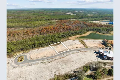 Lot 106 Windsong, Watersound, FL 32461 - Photo 3