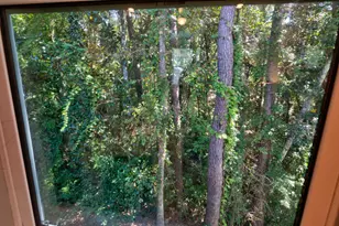 527 Maple Ave, Niceville, FL 32578 - Photo 37