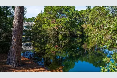 198 Somerset Bridge Road #UNIT 101, Santa Rosa Beach, FL 32459 - Photo 25