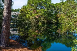 198 Somerset Bridge Rd, Santa Rosa Beach, FL 32459 - Photo 25