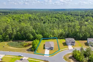 6629 Spyglass Hill Rd, Laurel Hill, FL 32567 - Photo 3