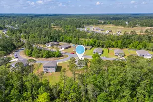 6629 Spyglass Hill Rd, Laurel Hill, FL 32567 - Photo 37