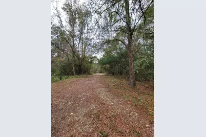 42 White Creek Road, Ponce de Leon, FL 32455 - Photo 11