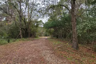 42 White Creek Rd, Ponce de Leon, FL 32455 - Photo 11