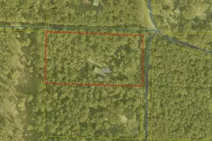 42 White Creek Rd, Ponce de Leon, FL 32455 - Photo 39