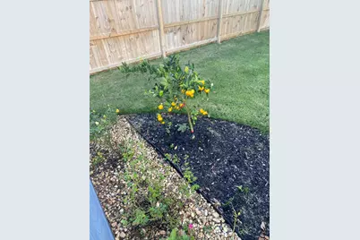 315 Red Barn Road, Freeport, FL 32439 - Photo 13