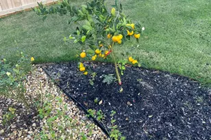 315 Red Barn Rd, Freeport, FL 32439 - Photo 13