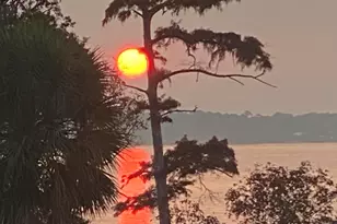 315 Red Barn Rd, Freeport, FL 32439 - Photo 19