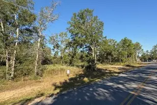Lot 52 Howlin Rd, Defuniak Springs, FL 32433 - Photo 1
