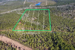 Xx-03 E St Hwy 20 E, Ponce de Leon, FL 32455 - Photo 1